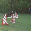 agility 2011-04